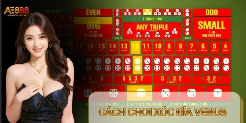 Cách Chơi Xóc Đĩa Venus – Bí Quyết Chinh Phục Sảnh Cược