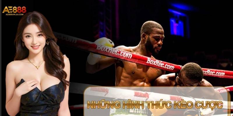 Người chơi có nhiều lựa chọn để cá cược Quyền Anh (Boxing)