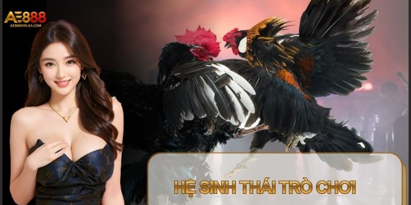 Sàn đấu chọi gà luôn thu hút đông đảo người chơi